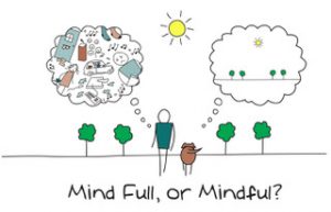 mindfulness cooperativa sociale il punto